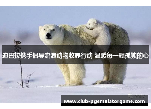 迪巴拉携手倡导流浪动物收养行动 温暖每一颗孤独的心